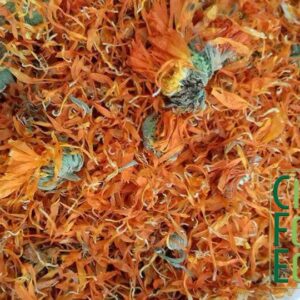 Calendula